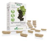 Capsules 23-S - Blackcurrant