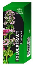 Echinacea Holoextract 50Ml.