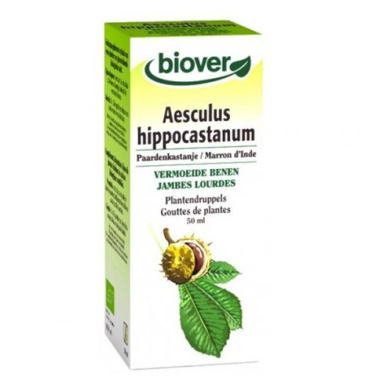 Aesculus Hippocastanum Horse Chestnut 50 ml