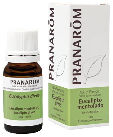 Eucalyptus Menthol Essential Oil 10 ml