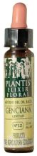 Gentian Plantis No. 12 10 ml